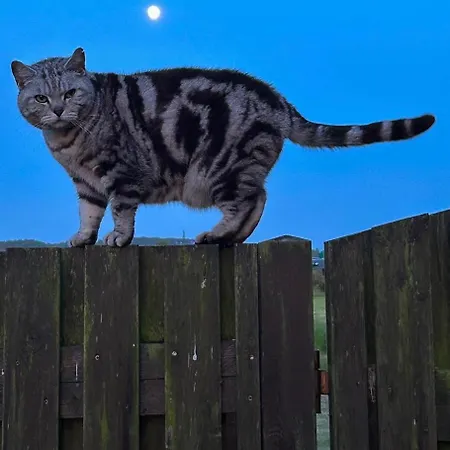 Ferienparadies Nonnensee Apartman