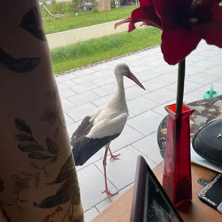 Ferienparadies Nonnensee Parchtitz