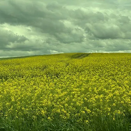 Apartamento Ferienparadies Nonnensee *