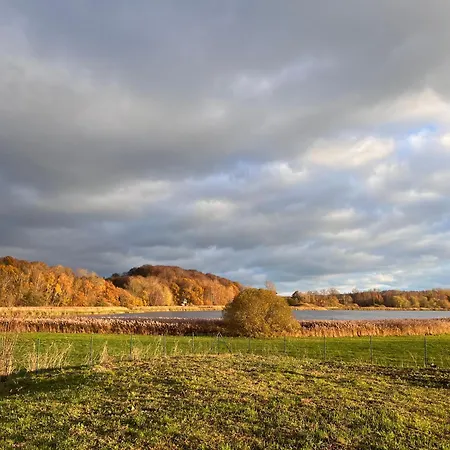 Ferienparadies Nonnensee Lejlighed Parchtitz