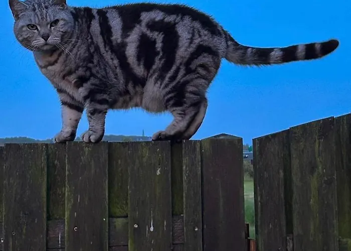 Ferienparadies Nonnensee Lejlighed