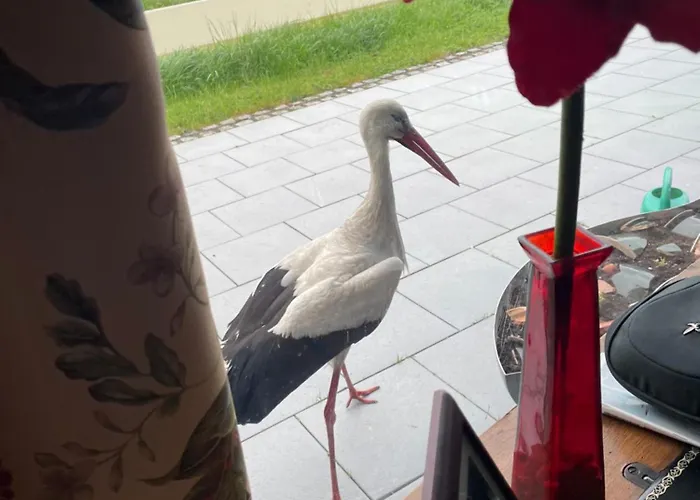 Ferienparadies Nonnensee Parchtitz