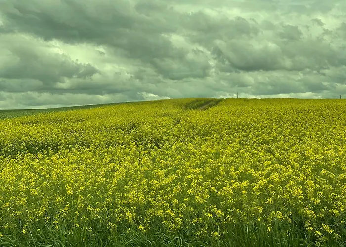 Lejlighed Ferienparadies Nonnensee *